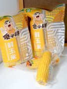 傻小胖，不傻的匠心！一颗鲜食玉米的品质坚守